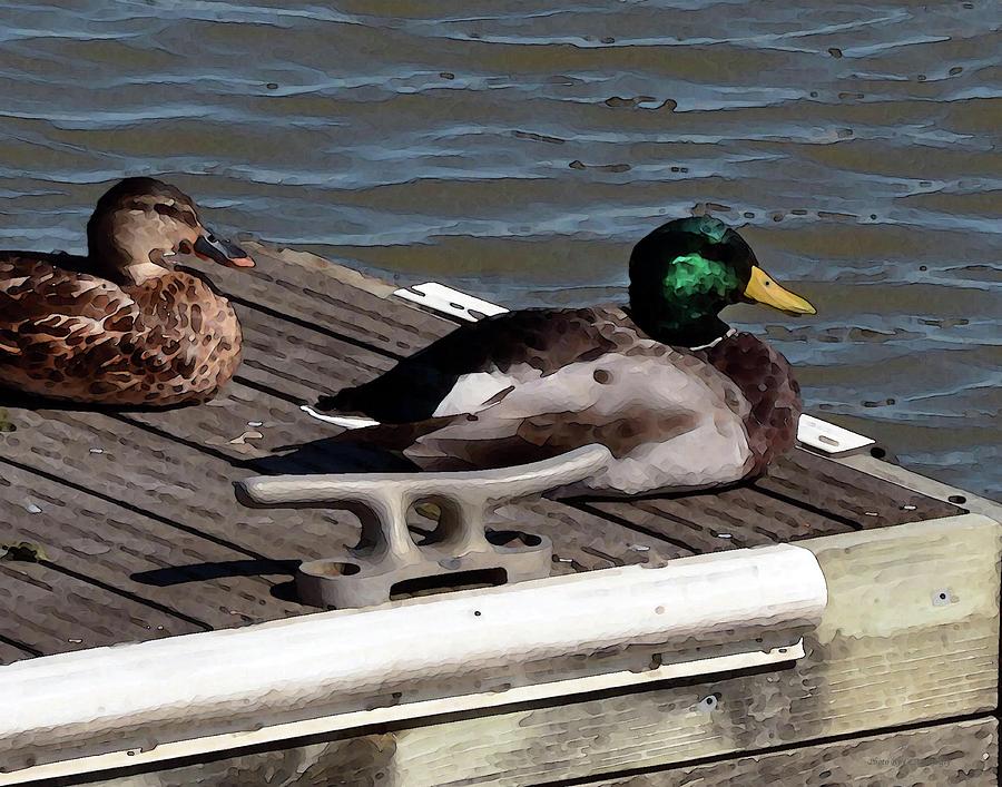 Ducks on a Dock Photograph by Coke Mattingly