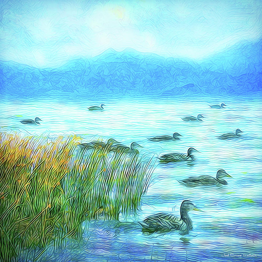 Ducks On Misty Morn - Lake In Boulder County Colorado Digital Art by Joel Bruce Wallach