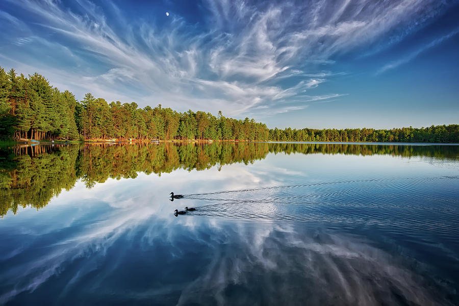 Ducks on Paradise Lake - Eagle River, WI Photograph by Jennifer Rondinelli Reilly - Fine Art Photography