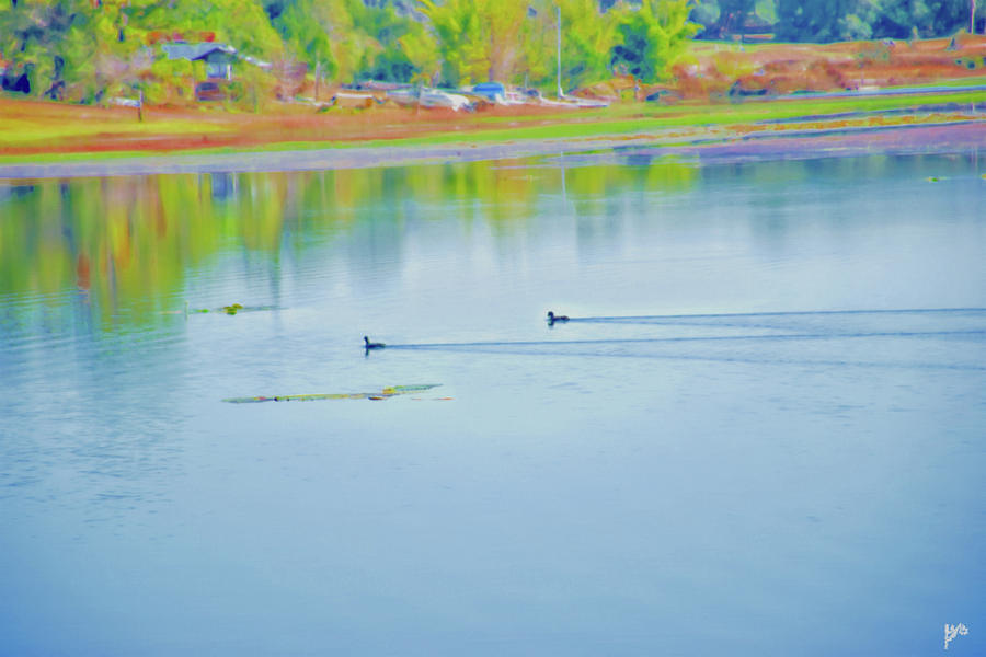 Ducks On Spring Lake Photograph