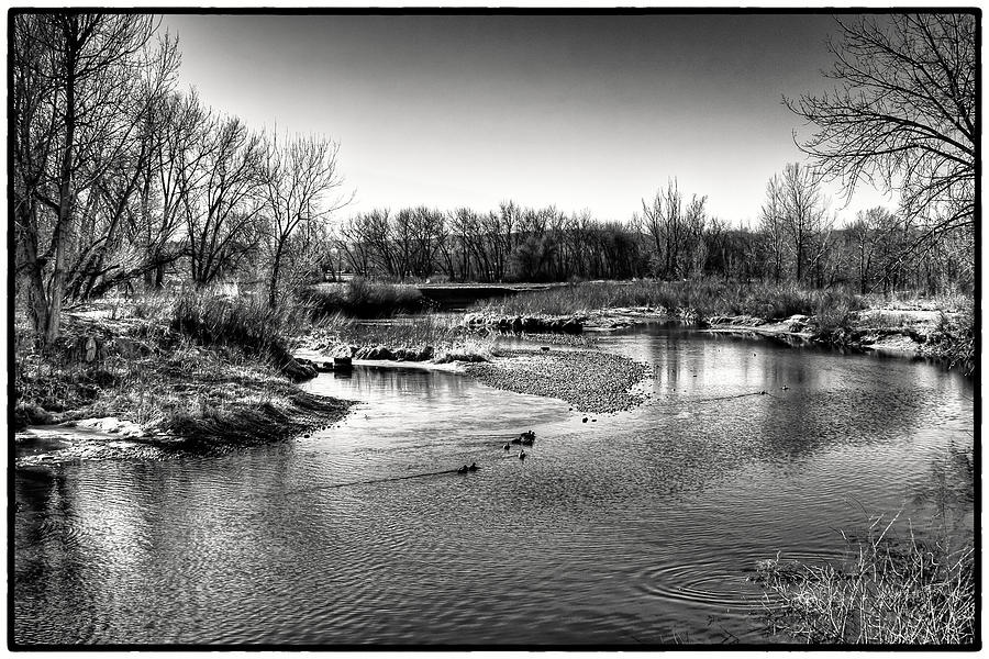 Ducks on the South Platte River Photograph by David Patterson