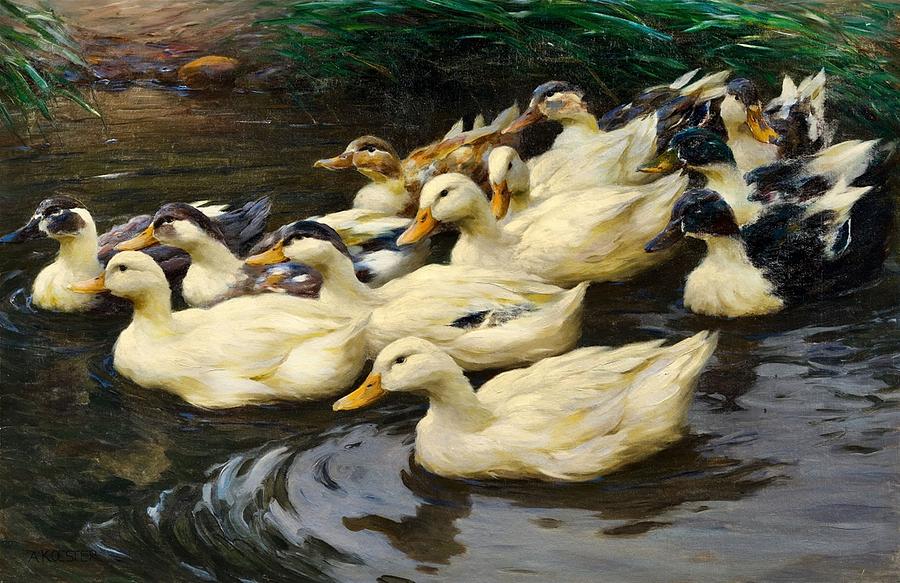 Ducks on the Water Painting by Alexander Koester