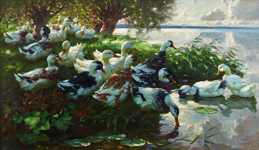 Ducks Resting By The Lake Painting By Alexander Koester - Pixels