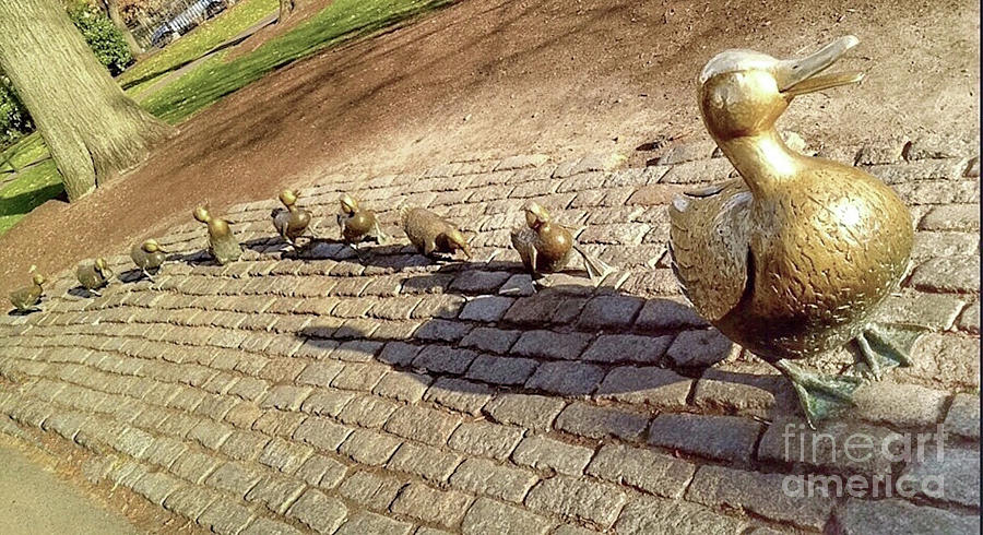 Ducks Statues in a Row Photograph by Beth Myer Photography