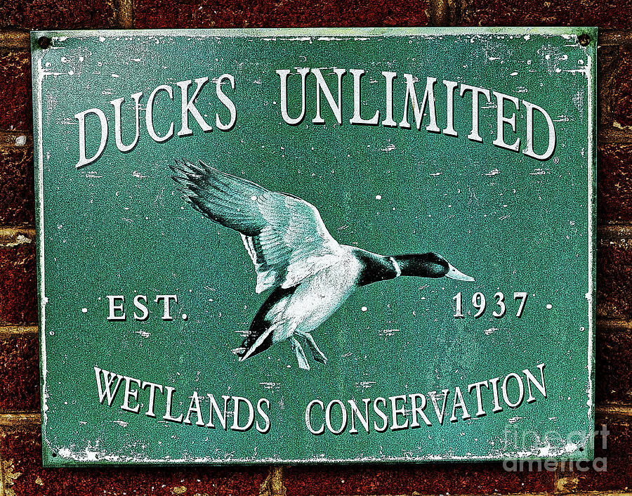 Duck Photograph - Ducks Unlimited Vintage Sign by Paul Mashburn