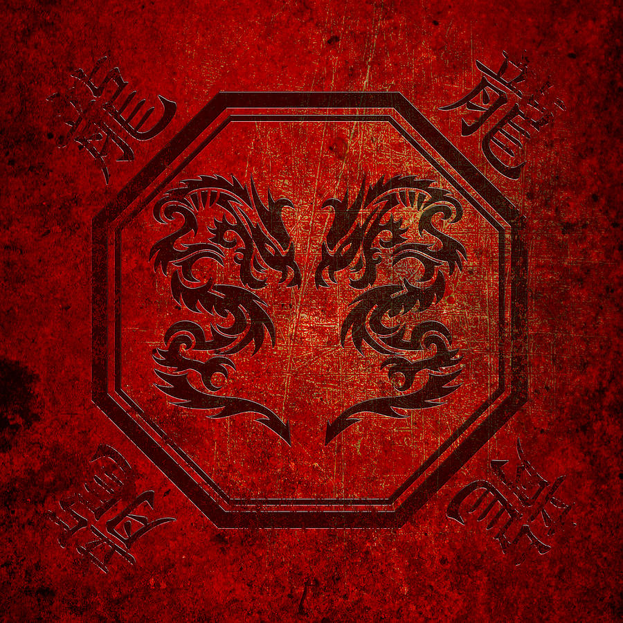 Dueling Dragons In An Octagon Frame With Chinese Dragon Characters Red ...