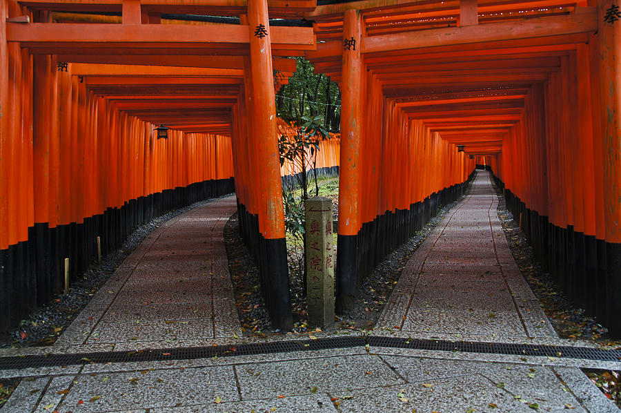 Dueling Fushimi Inari Taisha Photograph by Brian Kamprath