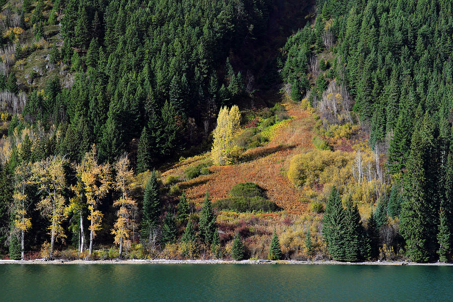 Duffey lake colors Photograph by Pierre Leclerc Photography