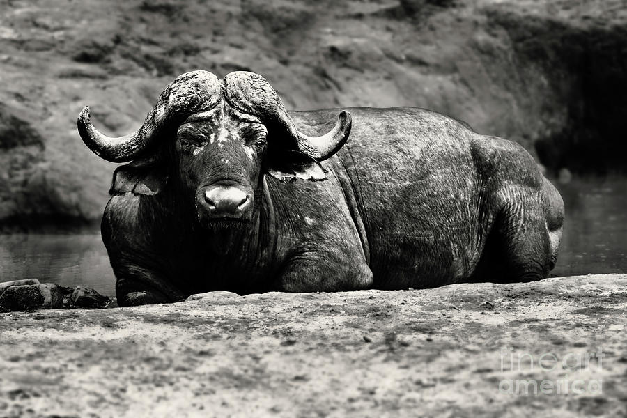 dugga-boy-in-africa-photograph-by-etienne-outram-fine-art-america