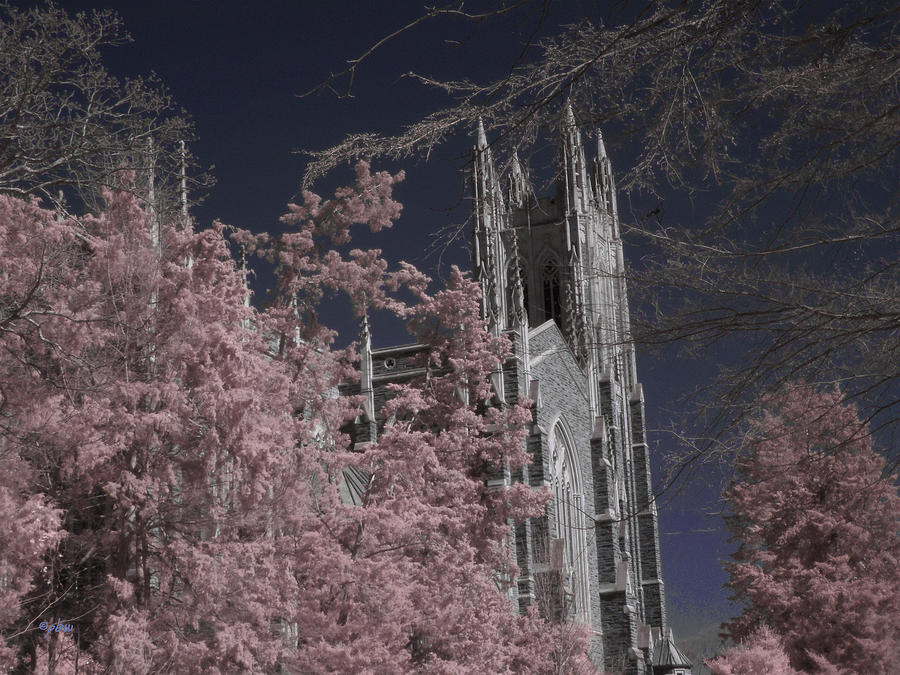 Duke Chapel 2 - Infrared Photograph by Paulette B Wright