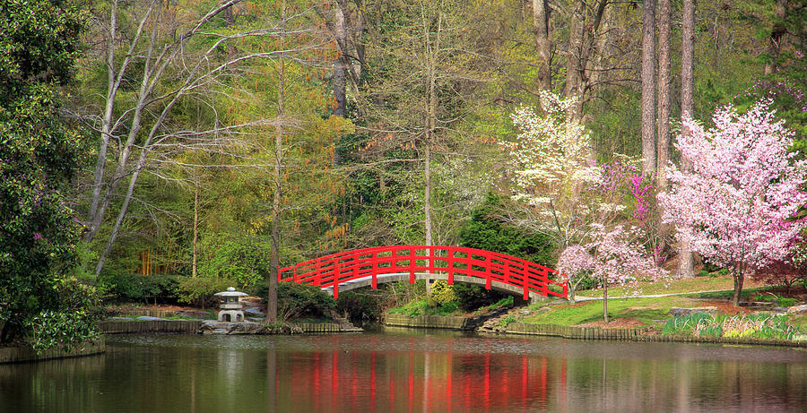 Spring Photograph - Duke Japanese Garden by Joni Eskridge