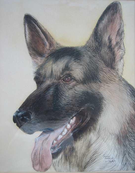 Duke Leibling Von Sunray Painting by Joanie Arvin Duke Leibling Von Sunray Painting by Joanie Arvin