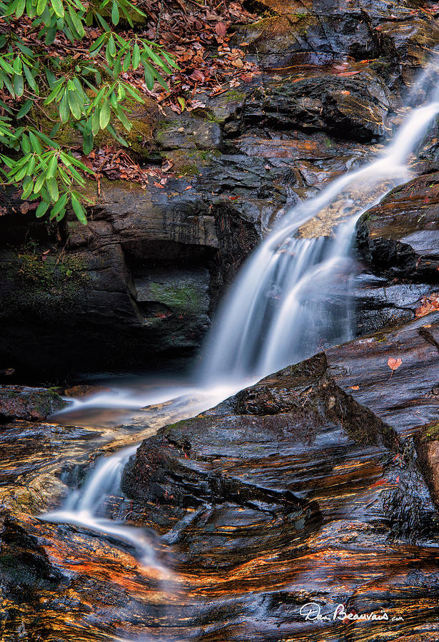 Dukes Creek Falls 5295 Photograph by Dan Beauvais