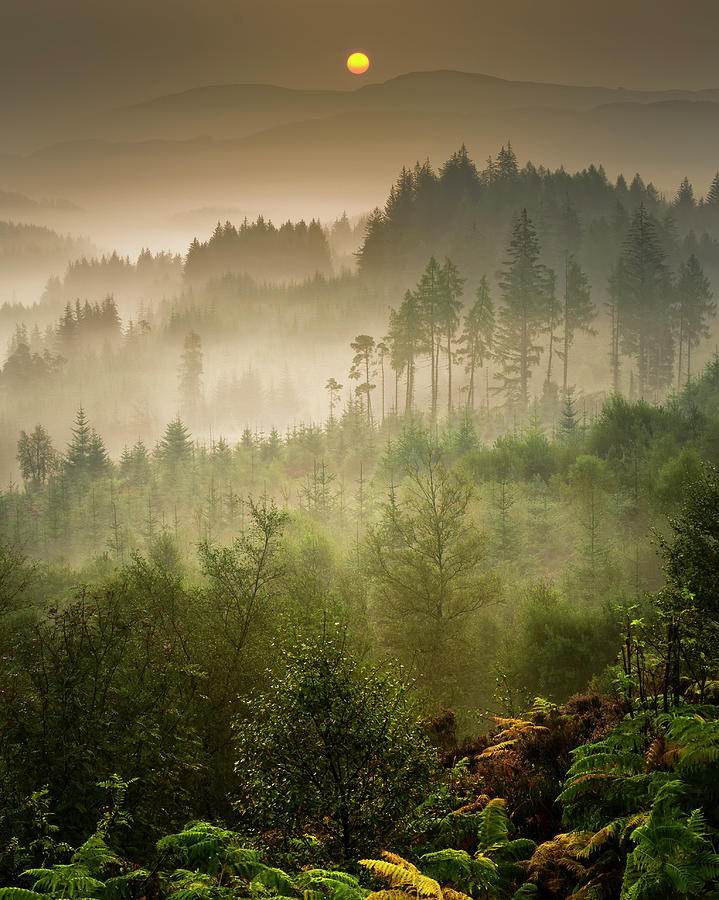 Landscape Photograph - Dukes Pass, Trossachs by David Mould Landscape Photograph - Dukes Pass, Trossachs by David Mould