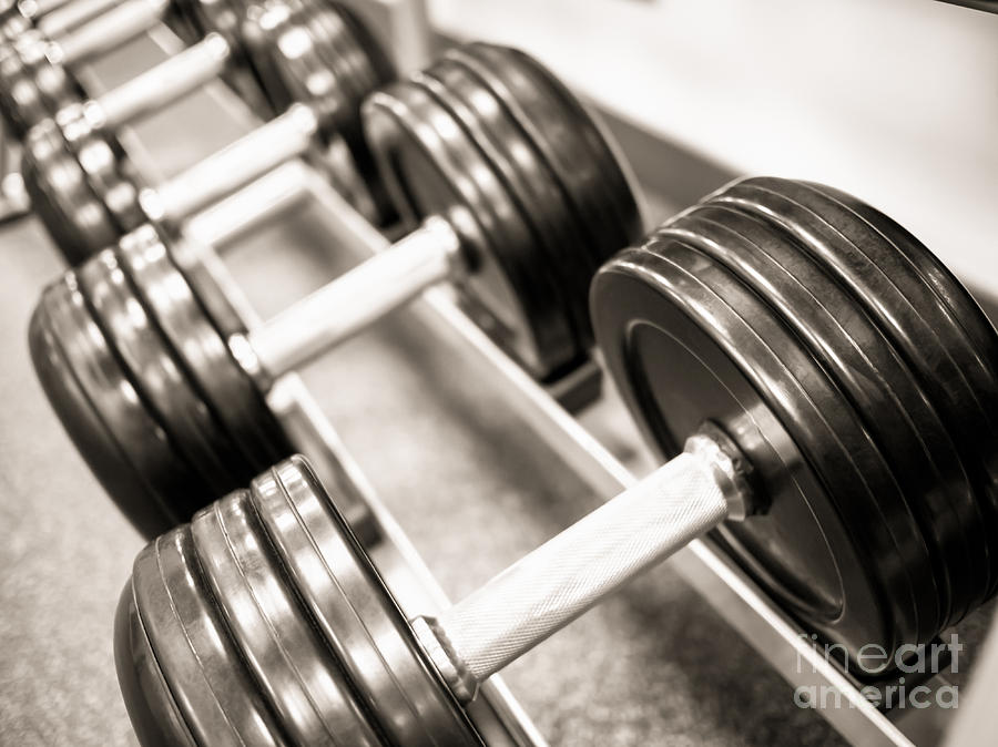 Club Photograph - Dumbbell Weights on a Rack by Paul Velgos