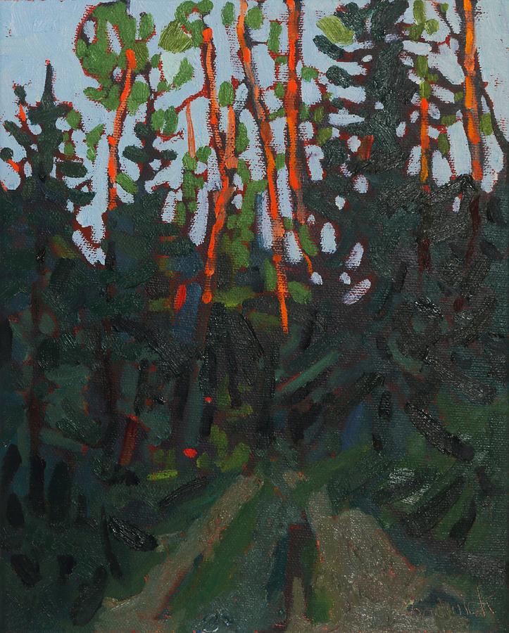 Dumoine Sunrise Spruce Painting by Phil Chadwick