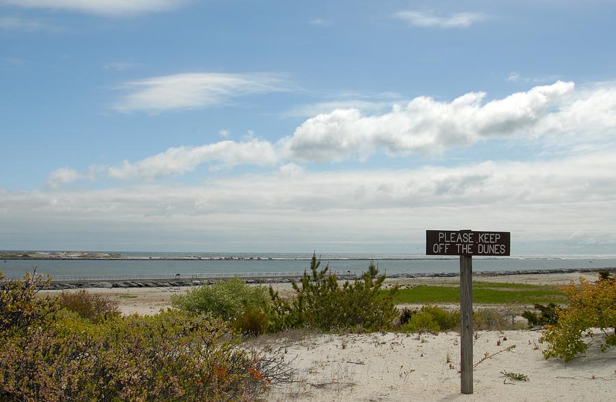 Dune 46 Photograph by Joyce StJames - Fine Art America