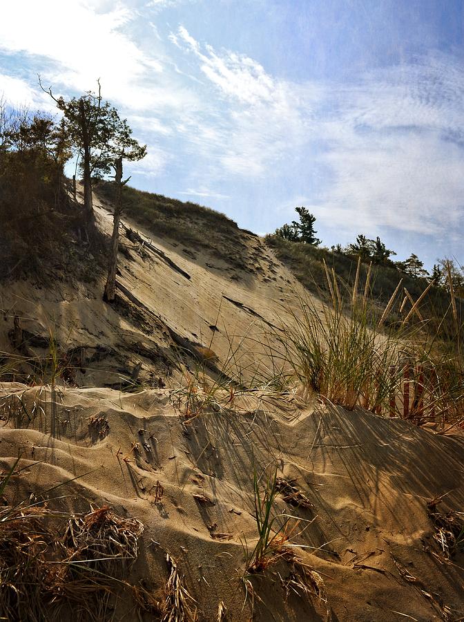 Dune and Blue Sky Photograph by Michelle Calkins