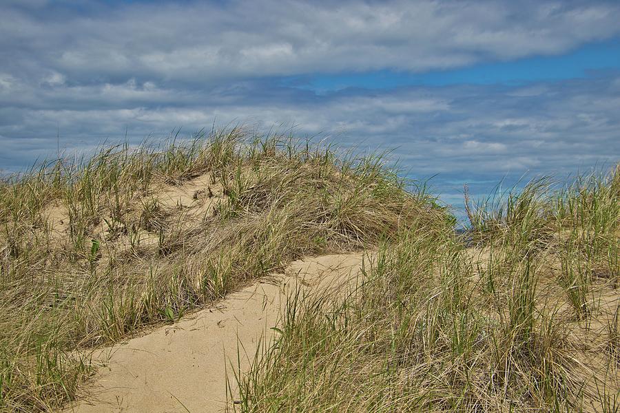 Dune Crest Photograph by Marisa Geraghty Photography