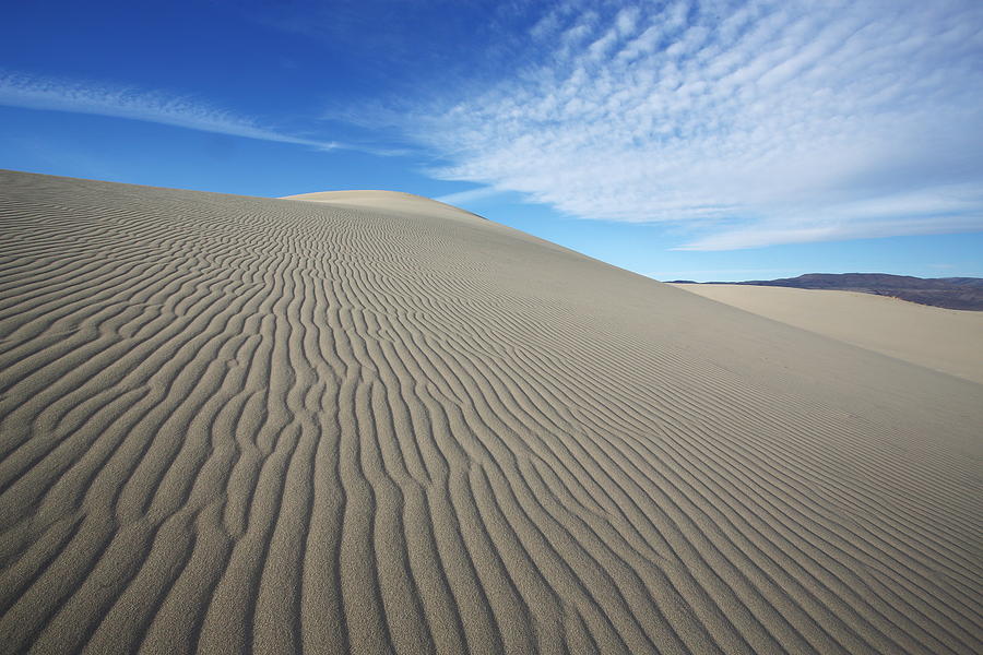 Dune Photograph by David Andersen