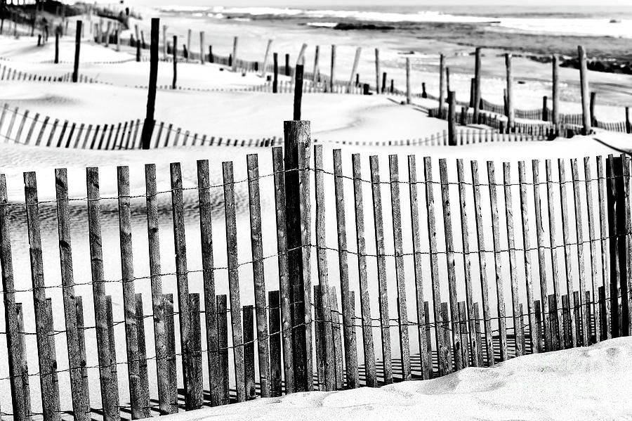 Dune Design on Long Beach Island Photograph by John Rizzuto