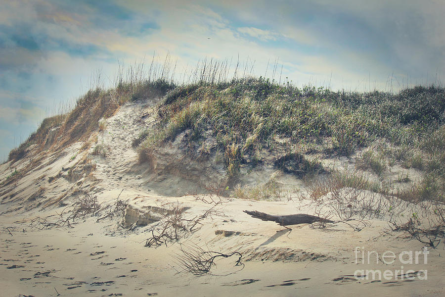 Dune Dreams Photograph by Karin Everhart - Pixels