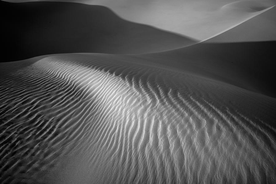 Dune Essence II Photograph by Alexander Kunz