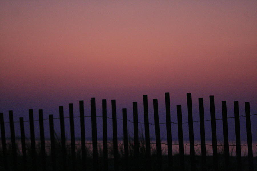 Dune Fence at Dawn Photograph by Christopher J Kirby