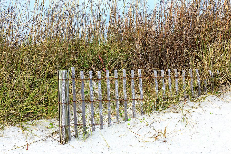 Dune Fence at North Myrtle Beach Photograph by John Rizzuto