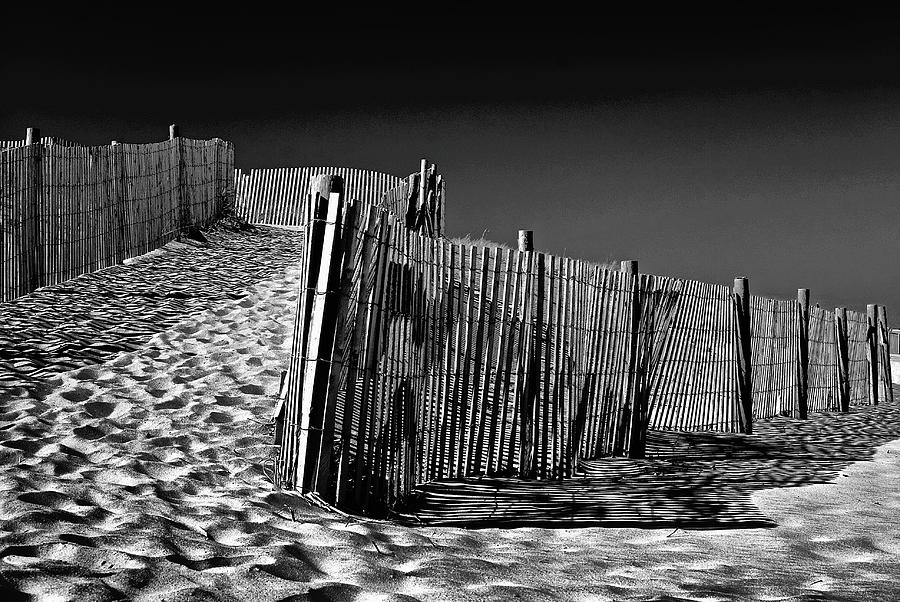 Dune fence, black and white Photograph by Bill Jonscher