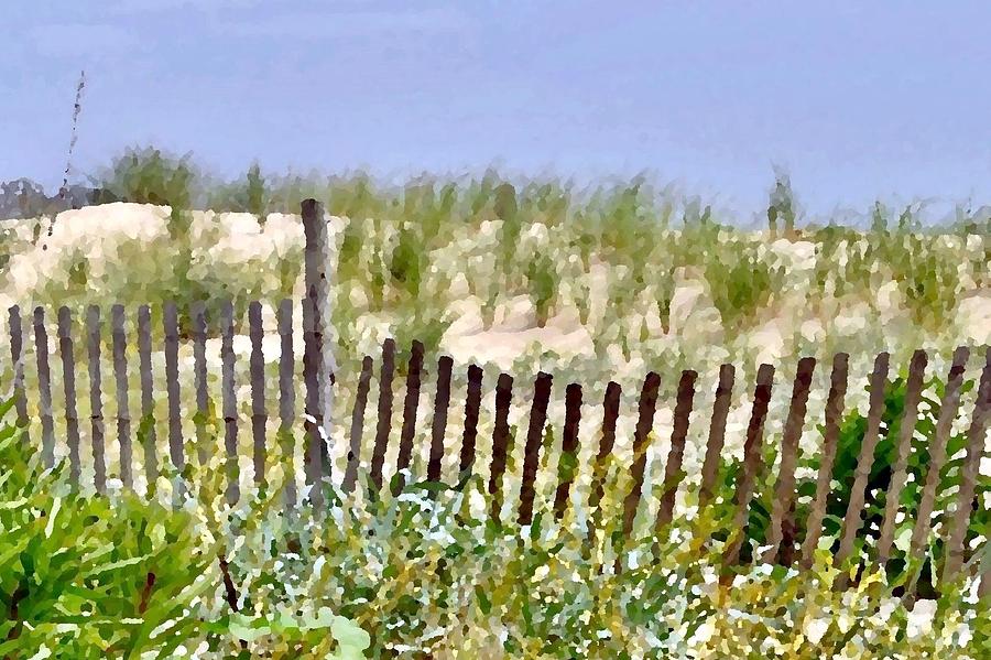 Dune Fence Photograph by Kim Bemis