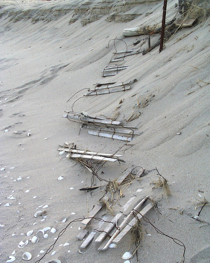 Dune Fence Photograph by Robert Hopkins