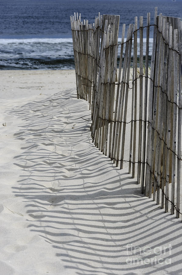 Dune Fence Shadows Photograph by Debra Fedchin