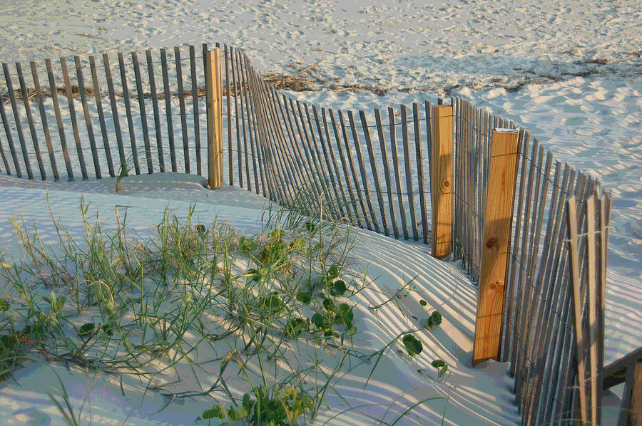 Dune Fence Photograph by Suzanne Gaff