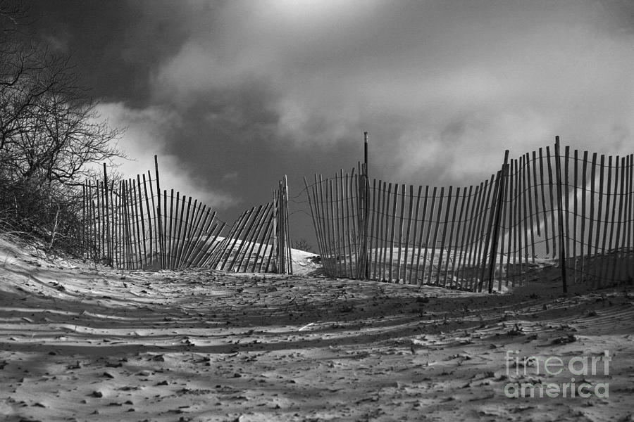 Dune Fence Photograph by Timothy Johnson