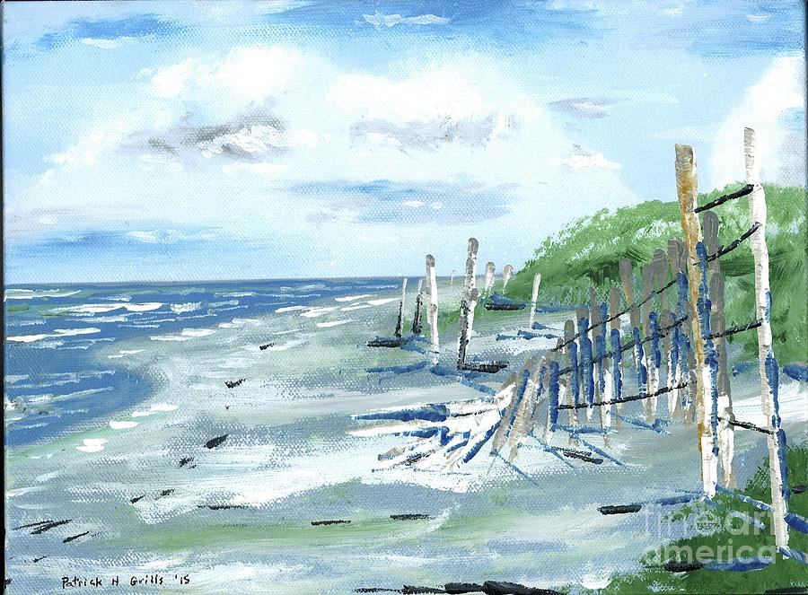 Dune Fences Isle Of Palms Painting by Patrick Grills