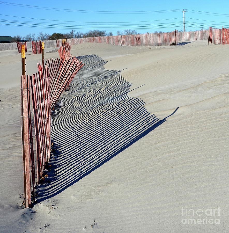 Dune Fencing Photograph by Kerryn Davis - Fine Art America