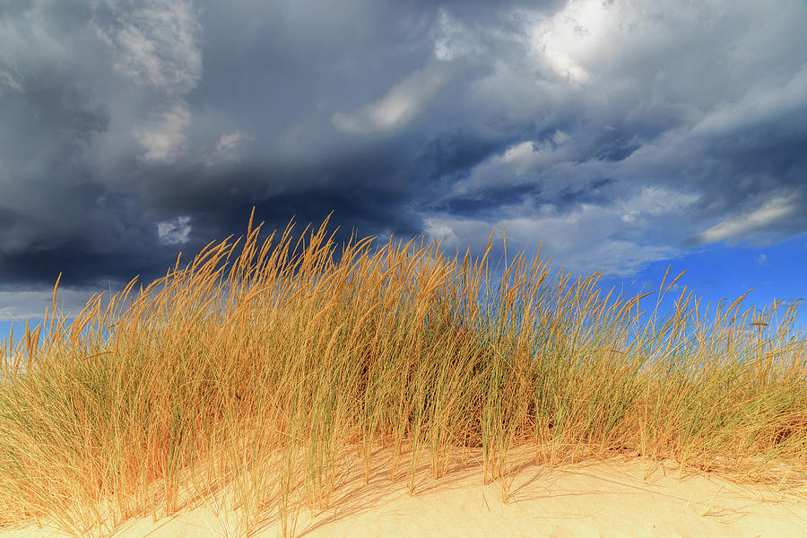 Dune Grass And Storm Clouds Photograph by Robert Caddy