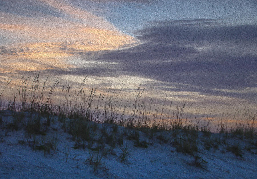 Sunset Digital Art - Dune Grass Blue by Keith Smith