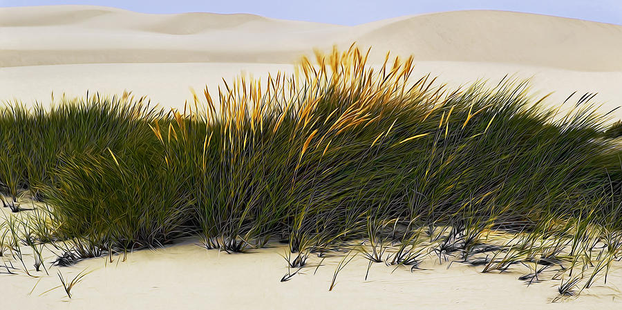 Oregon Dune Grass Digital Art by John Christopher