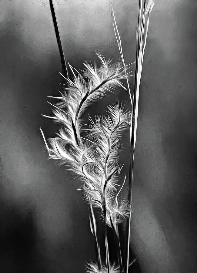 Dune Grass - Paint bw Photograph by Steve Harrington