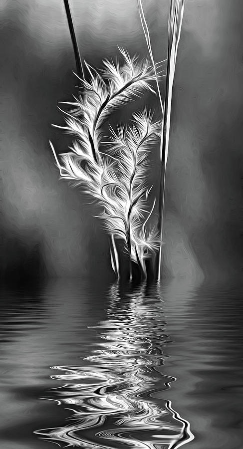 Dune Grass - Paint - Reflection Bw Photograph
