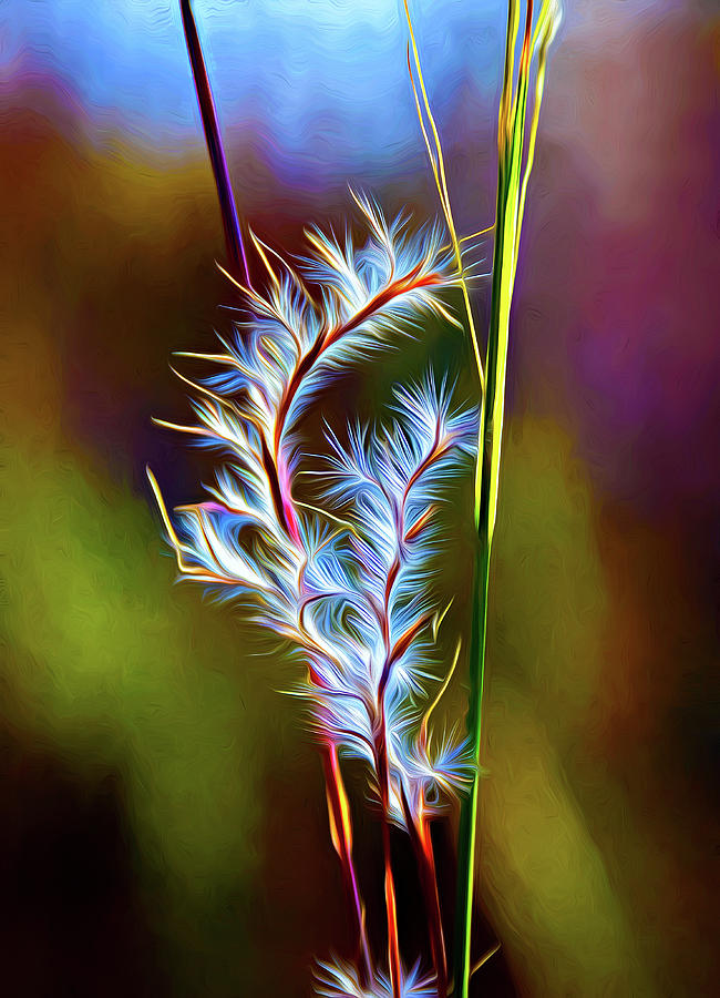 Dune Grass - Paint Photograph by Steve Harrington