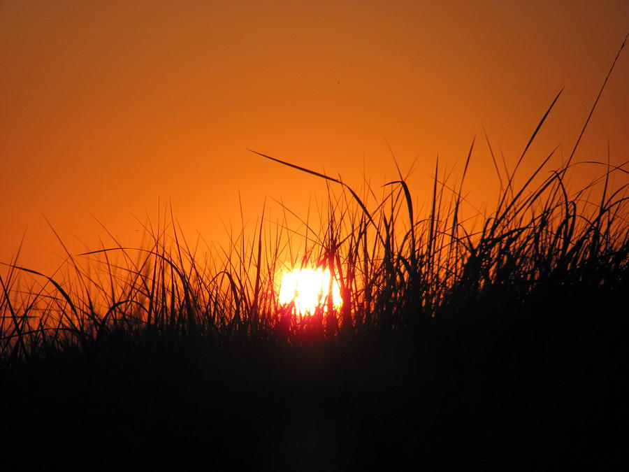 Dune Grass Sunset Photograph by Gregory Smith