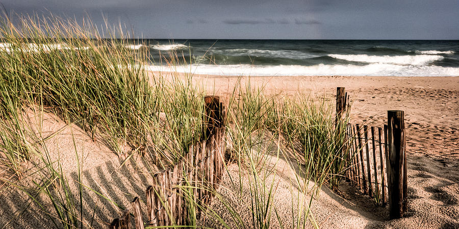 Summer Photograph - Dune II by Dave Hahn