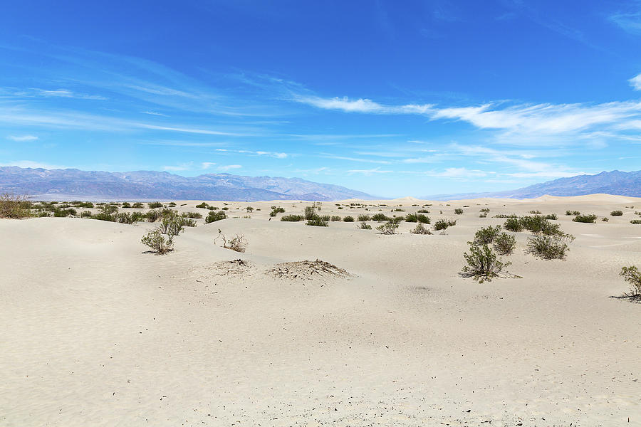 dune in Death Valley National Park, California, Nevada, USA Photograph ...