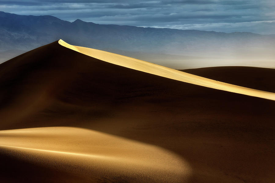 Dune Mood Photograph by Nicki Frates