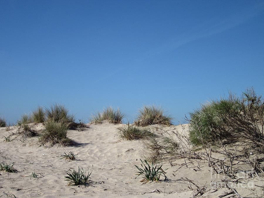 Dune near Cadiz Photograph by Chani Demuijlder