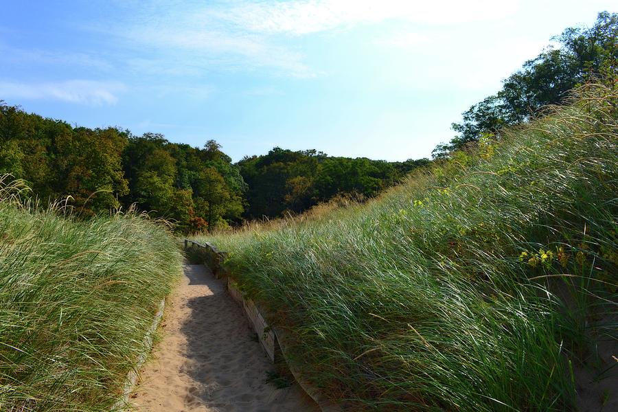 Dune Path at Laketown Photograph by Michelle Calkins