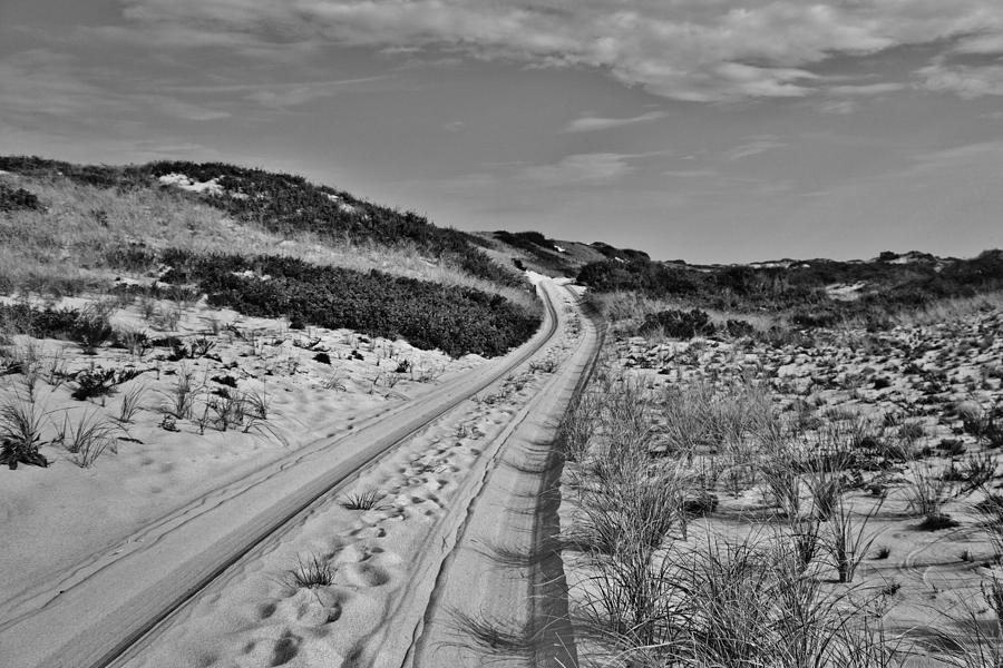 Dune Path in Black and White Photograph by Marisa Geraghty Photography
